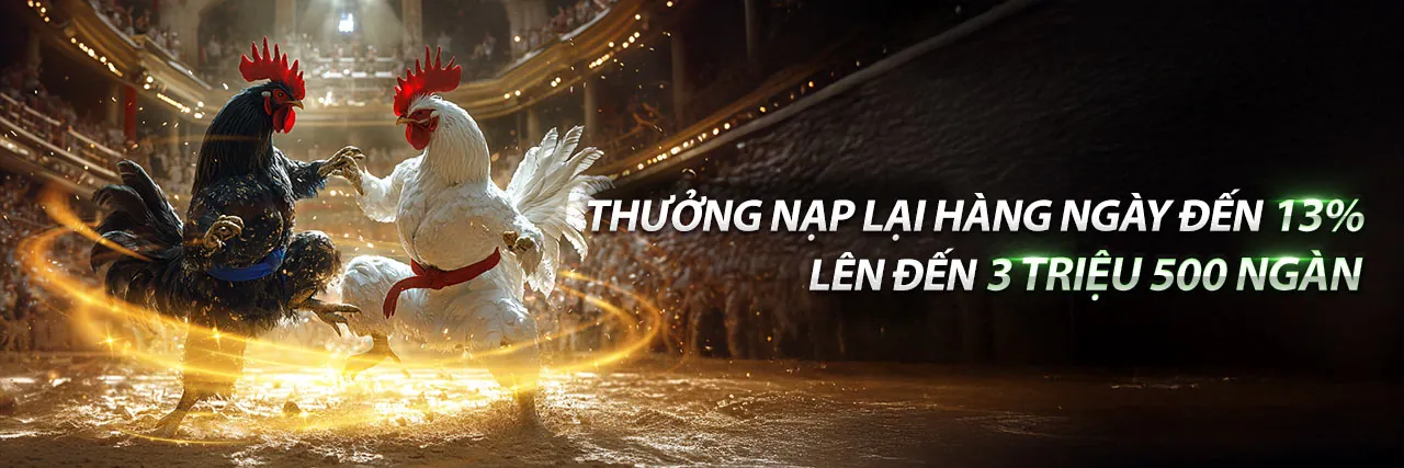 Đấu trường đá gà trực tuyến mcw18 login